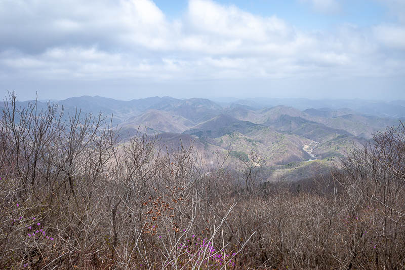 More of the same of Korea - March and April 2024 - Here is the view, away from Gyeongju. There was no real view back towards the city from the top.