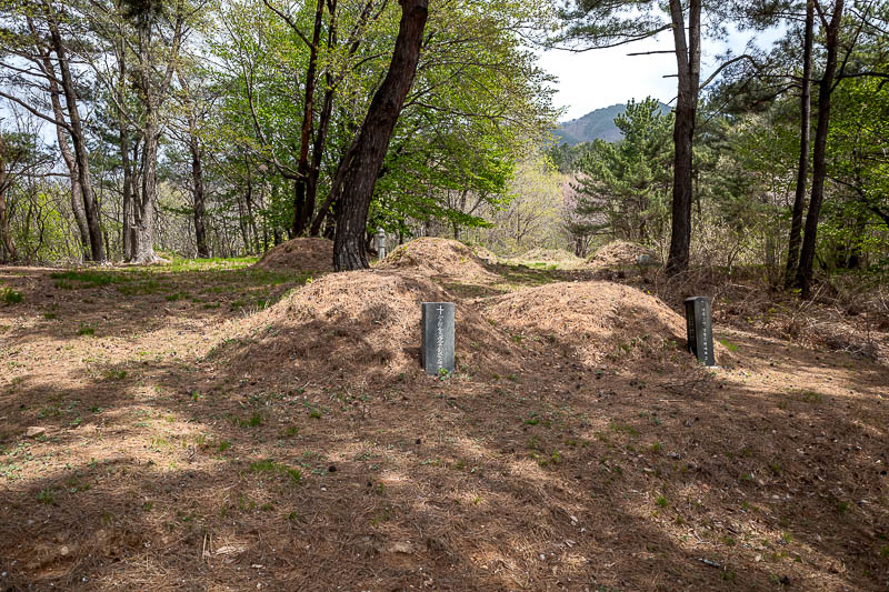 More of the same of Korea - March and April 2024 - Getting near the bottom, and it is graveyard time. Not as grand as the funeral mounds in town. I imagine if we had these in Australia, kids on BMX bik