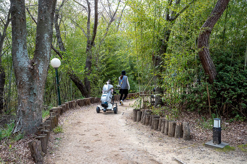 More of the same of Korea - March and April 2024 - Not to worry, I was very near a golf course. This is a boring photo except for the autonomous follow me golf buggies. Everyone had one, it literally f