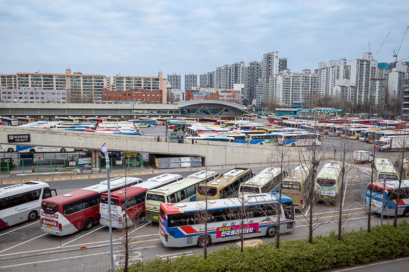 More of the same of Korea - March and April 2024 - Here are some buses. Lots of buses. This is not all of them, and the station building which I did not photograph at all just to confuse everyone with 