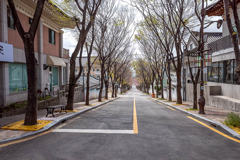 More of the same of Korea - March and April 2024 - All the streets here are nice.
