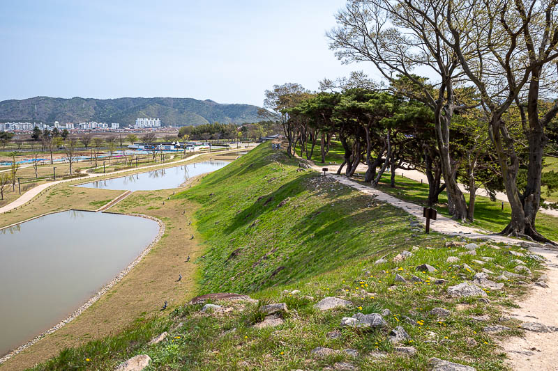 More of the same of Korea - March and April 2024 - More fortress wall. More blue sky today, also about 20c again, and no wind. Hence a bit more pollution but not too bad compared to previous days.