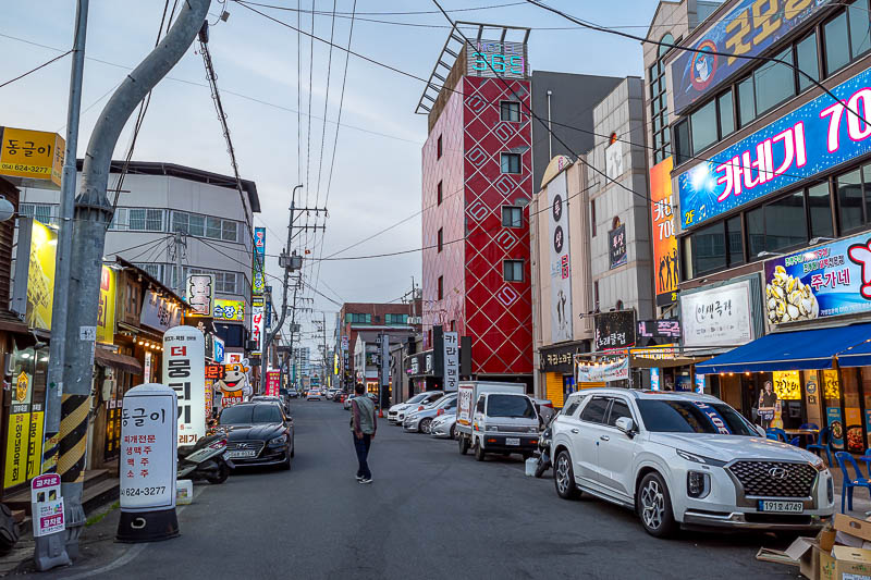 More of the same of Korea - March and April 2024 - Here is an example of the hotels to rent by the hour streets that make up the designated tourist area.