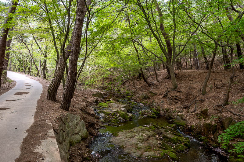 More of the same of Korea - March and April 2024 - The path up to the start of the hike goes past a hermitage, but they had signs up asking me to not go in, so I did not. The stream was nice though.