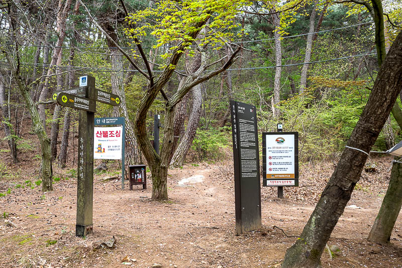More of the same of Korea - March and April 2024 - I thought this might be a wild unmarked hike. I could not be more wrong. Signs everywhere. Although for most of the day, no other hikers, until an ent
