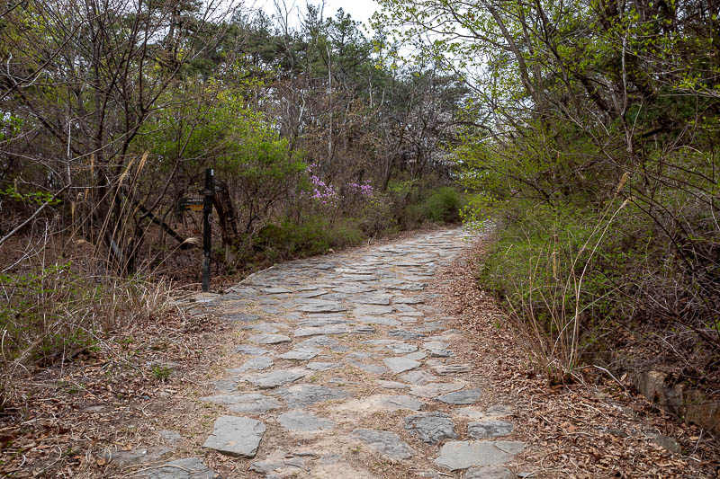 More of the same of Korea - March and April 2024 - And then, a driveway of sorts! This was unexpected.