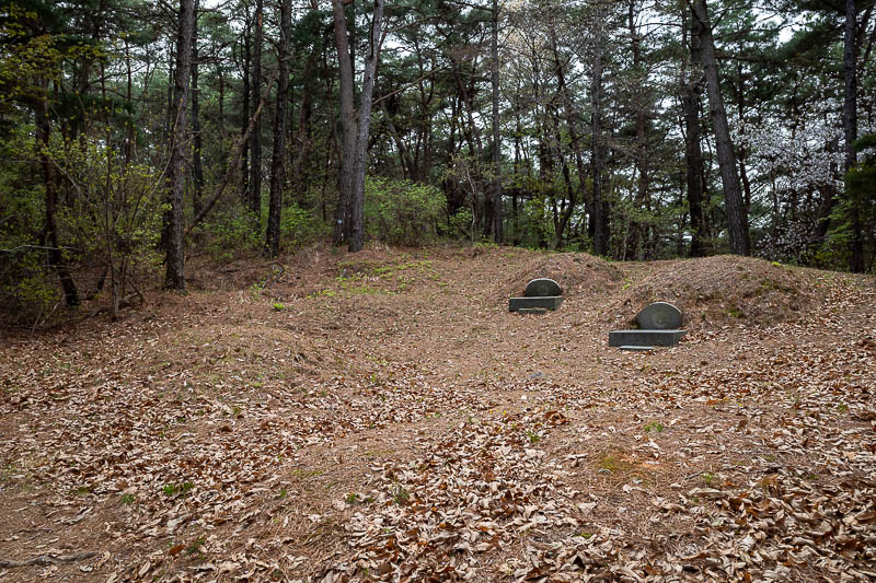 More of the same of Korea - March and April 2024 - I thought that since I passed 100 or so grave sites, I should post a photo of a grave. So here is one. Most of them do not have the concrete markers.