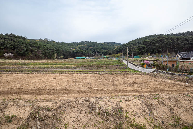 More of the same of Korea - March and April 2024 - And as threatened, I once again managed to exit a hike in the middle of farmland. I will not be going far tonight, but I am very hungry!