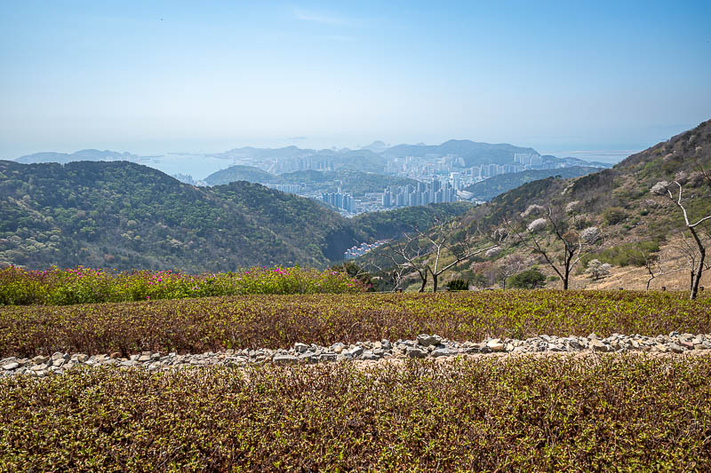 More of the same of Korea - March and April 2024 - The bald spot on the ridge has a manicured garden area for picnics. There is an easy way up to here which even mountain bikers ride up.