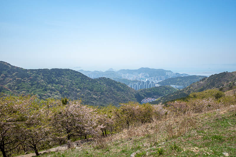 Korea-Busan-Hiking-Seunghaksan - The valley down from here is full of blossom trees, however it seems we are past peak blossom here in Busan. Hence the trees are also greener as leave
