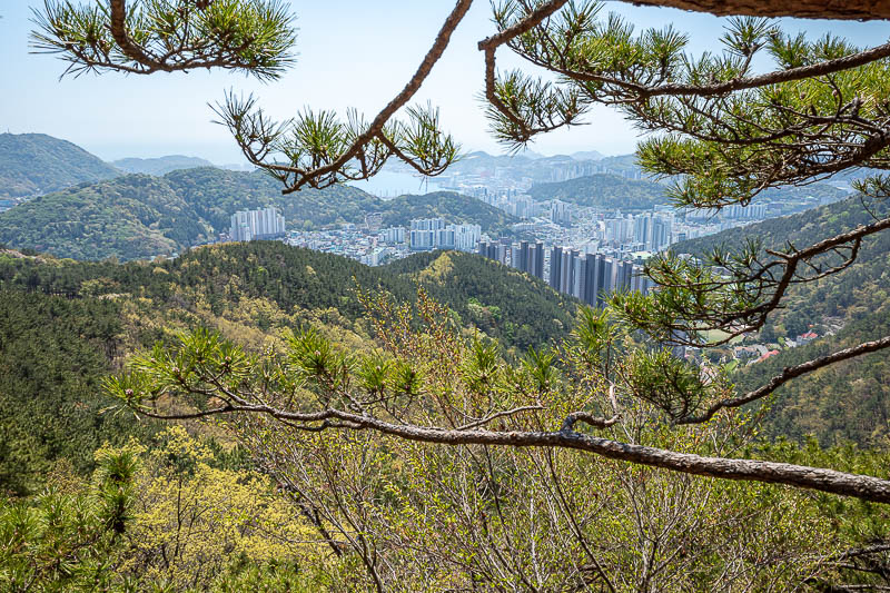 Korea-Busan-Hiking-Seunghaksan - Same view, more trees.
