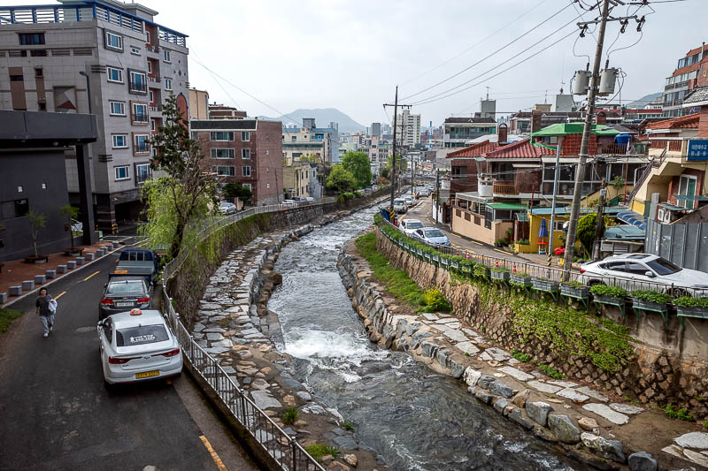More of the same of Korea - March and April 2024 - The rain is gone. The drains are raging. Would I have to cross some raging streams today? Time will tell.