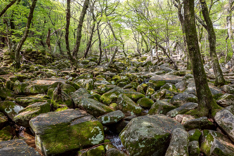 More of the same of Korea - March and April 2024 - Despite the rain, no raging torrent of water. Lots of rocks and these ones look mossy, but the actual ones you walk up were fine. I am standing on a l