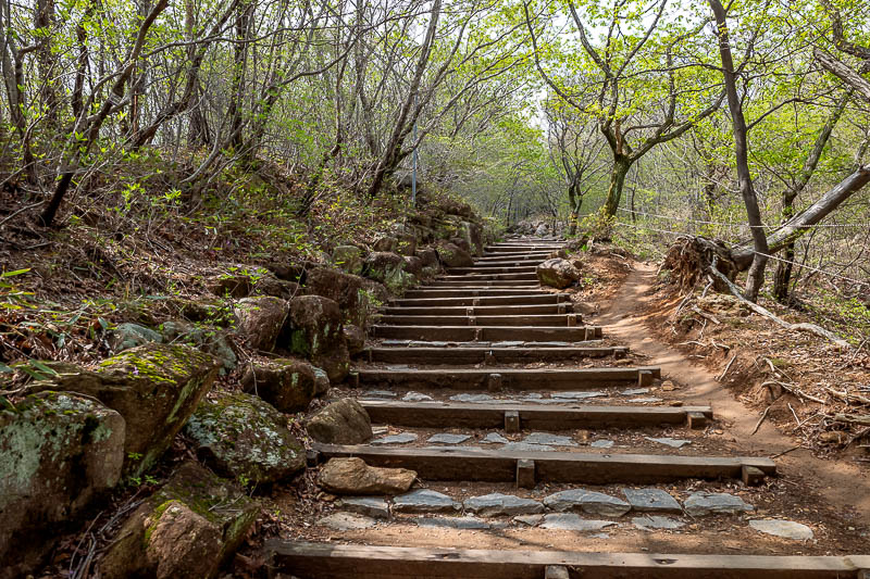 Korea-Busan-Hiking-Geumjeong - Periodic staircases today, it is a very popular hike.