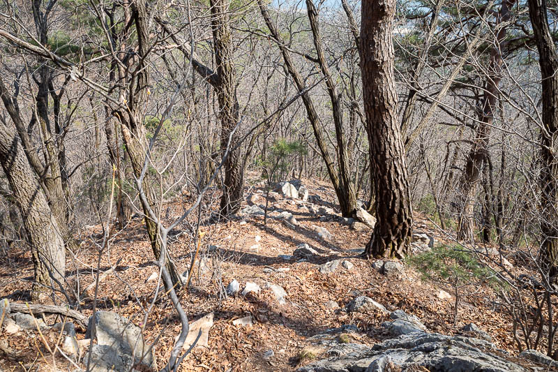 Korea-Seoul-Hiking-Yebongsan - The path down that I chose was poorly marked, a real choose your own adventure backed up by the occasional ribbons in trees. There are multiple ways d