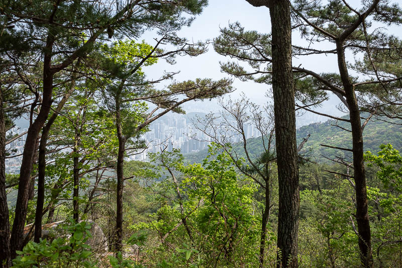 Korea-Busan-Hiking-Geumjeong - More view, with trees.