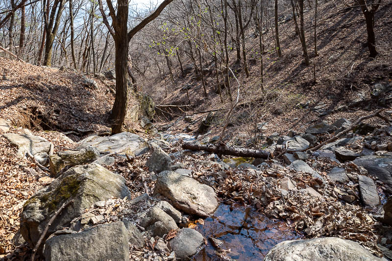 More of the same of Korea - March and April 2024 - It also required crossing a small stream numerous times. I am very cautious with streams and possibly mossy slippery rocks.
