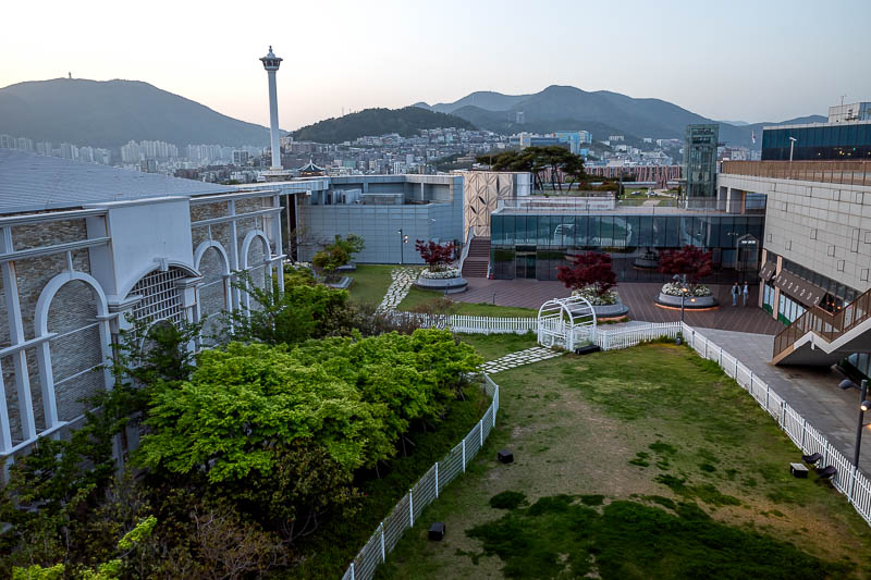 Korea-Busan-Food-View - Part of the garden. The grass looks a bit dead. There is actually a dog walking area too.