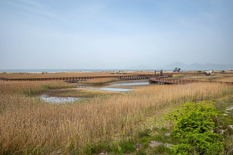 More of the same of Korea - March and April 2024 - First up, there is a boardwalk over some sandy swamp areas. Apparently a place to go bird watching.