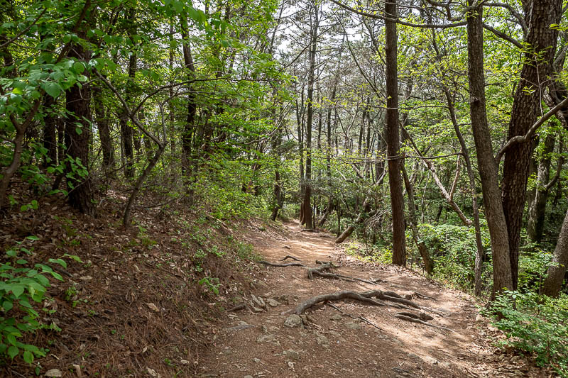 More of the same of Korea - March and April 2024 - This area looks like a proper hike.