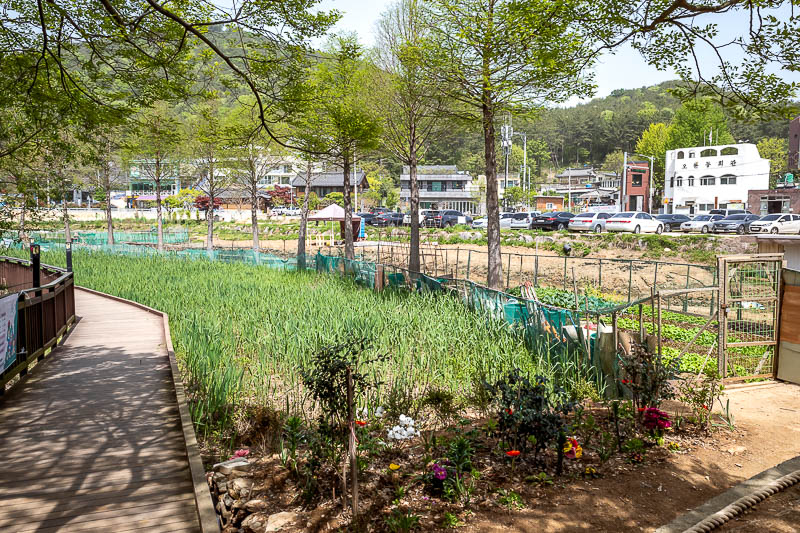 More of the same of Korea - March and April 2024 - There are a few spots where a road meets the lake, some with bus stops. Most spots have a few cafes and restaurants, but no convenience stores to buy 