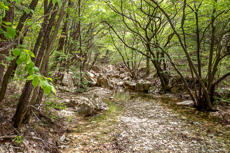More of the same of Korea - March and April 2024 - I had to cross one stream. It had rocks positioned for this purpose.
