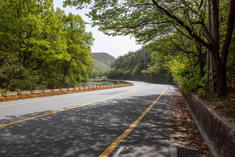 More of the same of Korea - March and April 2024 - It was about a kilometre along a thankfully not very busy road before I rejoined the drain you saw at the start. Another day of way too many photos of