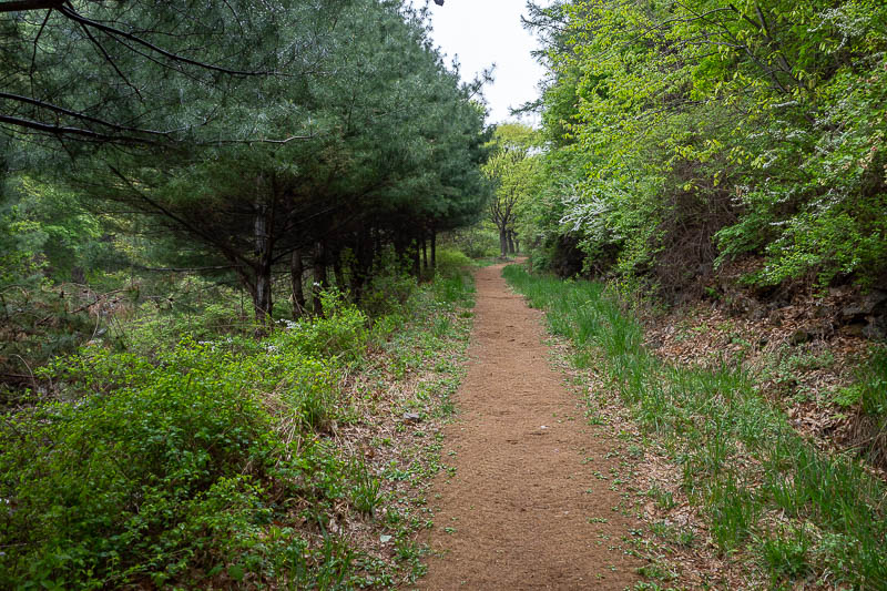 More of the same of Korea - March and April 2024 - I kept running (I was running at this point). I remembered that the very start of this hike was a hessian mat filled wonderland. Fast progress.