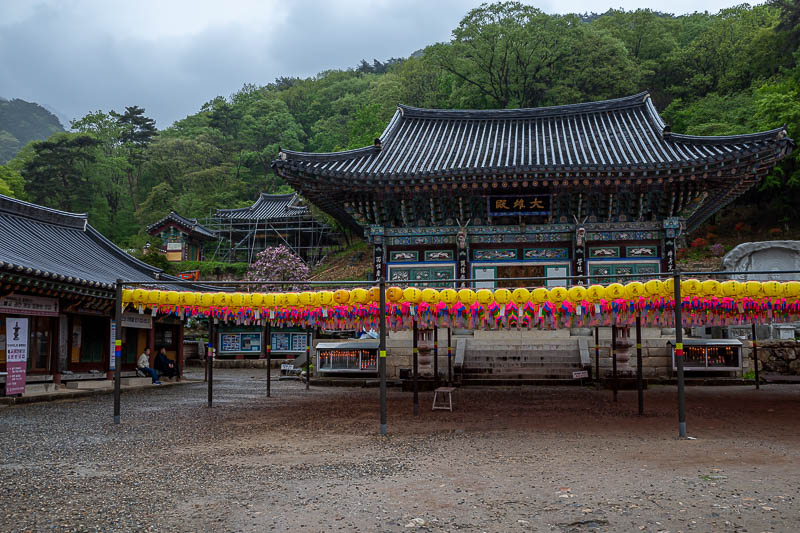 More of the same of Korea - March and April 2024 - Here is the temple. There were a couple of people around.