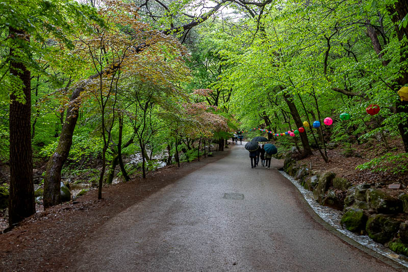 More of the same of Korea - March and April 2024 - A very nice driveway.