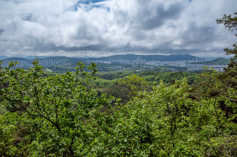 Korea-Seoul-Hiking-Buramsan - Lets start with a silvery view of still wet leaves and clouds. There will be a lot of view shots today.