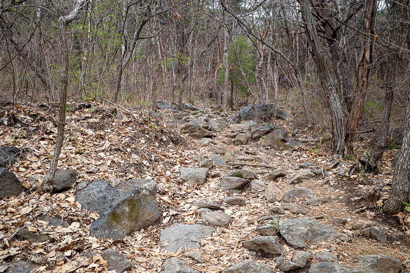 Korea-Seoul-Hiking-Yebongsan - Rocks started. They would persist most of the day.