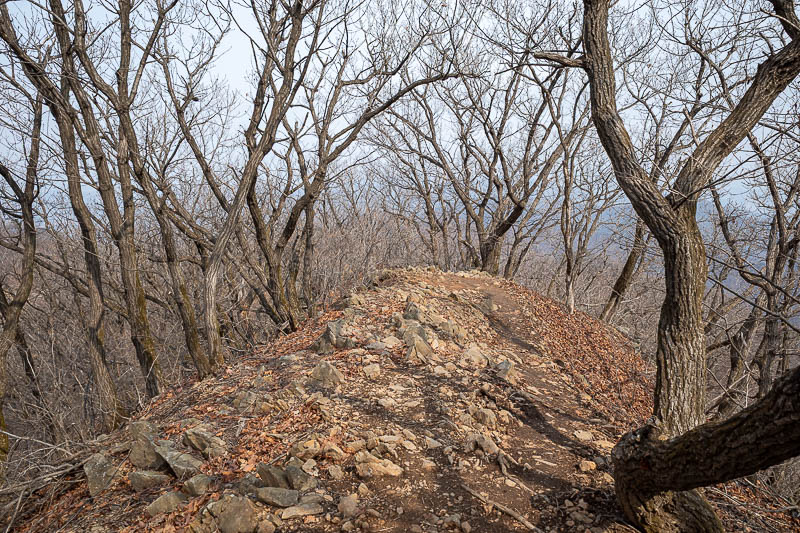 Korea-Seoul-Hiking-Yebongsan - Last time I briefly took the wrong trail and had to double back, no such mistake today.