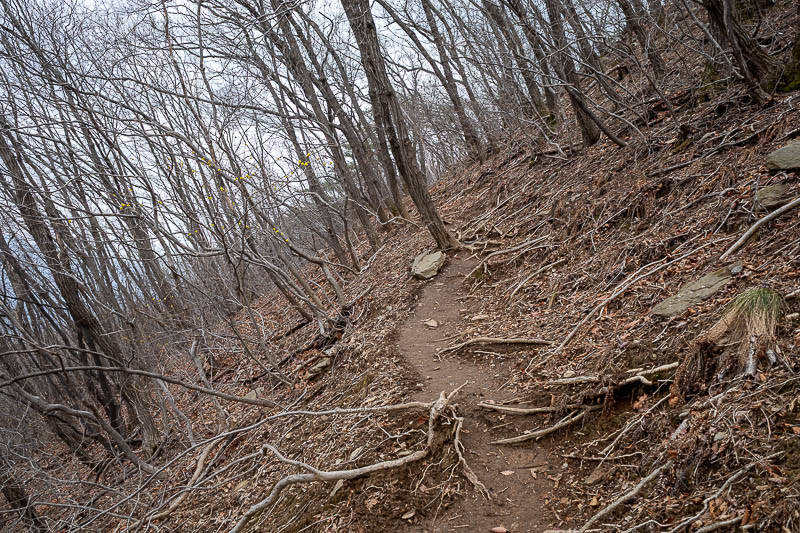 Korea-Seoul-Hiking-Yebongsan - Believe it or not, probably the only dangerous part of the hike, the slippery brown muddy bit is on a bit of an angle, my foot slid sideways a couple 