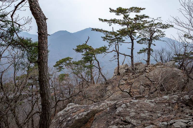 Korea-Seoul-Hiking-Yebongsan - Squint and you can see the observatory, near the end of one of the branches, far away.