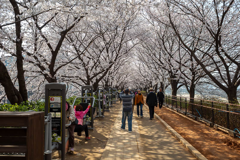 Korea-Seoul-Anyangcheon - Behold, the tunnel of excitement, and old people exercise equipment.