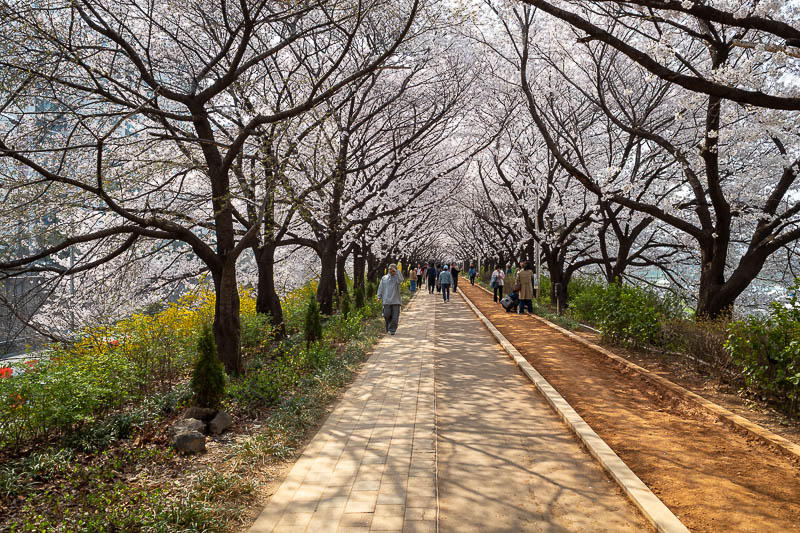 Korea-Seoul-Anyangcheon - Peak forecast