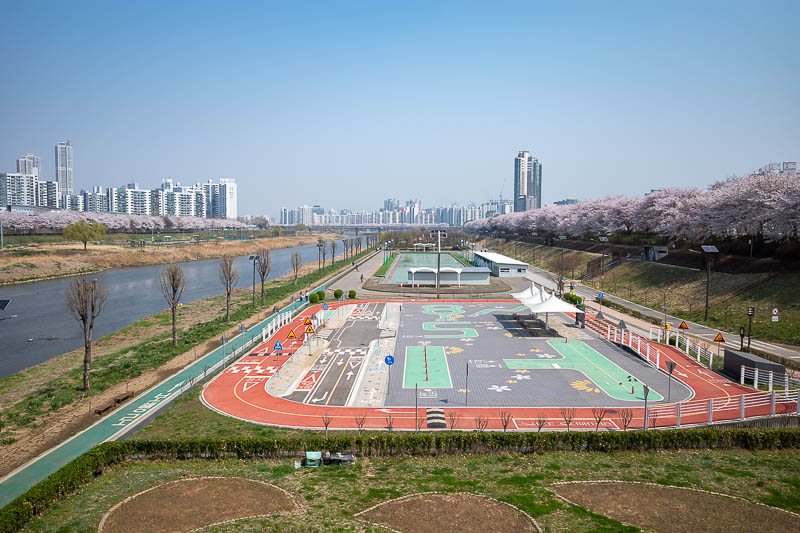 Korea-Seoul-Anyangcheon - Notice there are blossoms on both sides. It goes right around the corner in the far distance of the river in this photo.