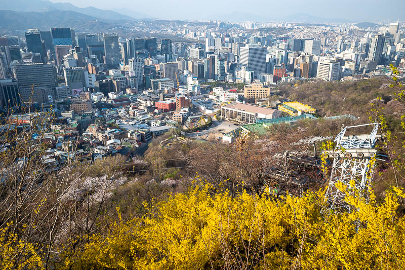 Korea-Seoul-Namsan-Itaewon - I tried to get a shot of the cable cars passing each other, but the yellow flowers and pylons got in the way.