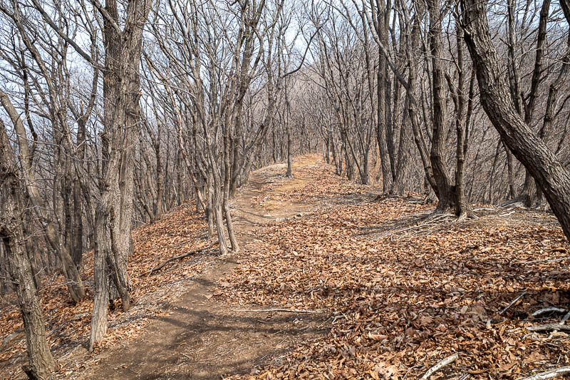 Korea-Seoul-Hiking-Yongmunsan - A rare smooth non rocky bit.