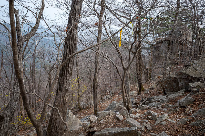 Korea-Seoul-Hiking-Yongmunsan - The path today was defined well enough that I did not need to follow the ribbons in the trees, but they were there anyway just in case.
