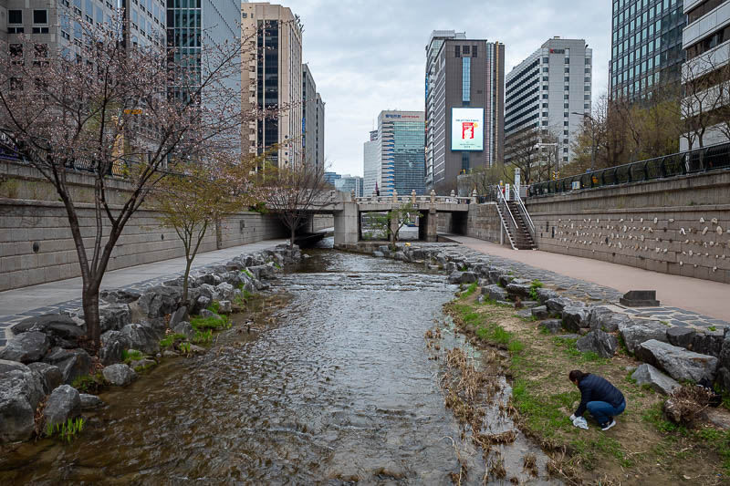 Korea-Seoul-Changwon-Train - Last stream photo. The woman down there is either weeding the grass or foraging for food, I noticed thistle soup on the menu of some traditional Korea