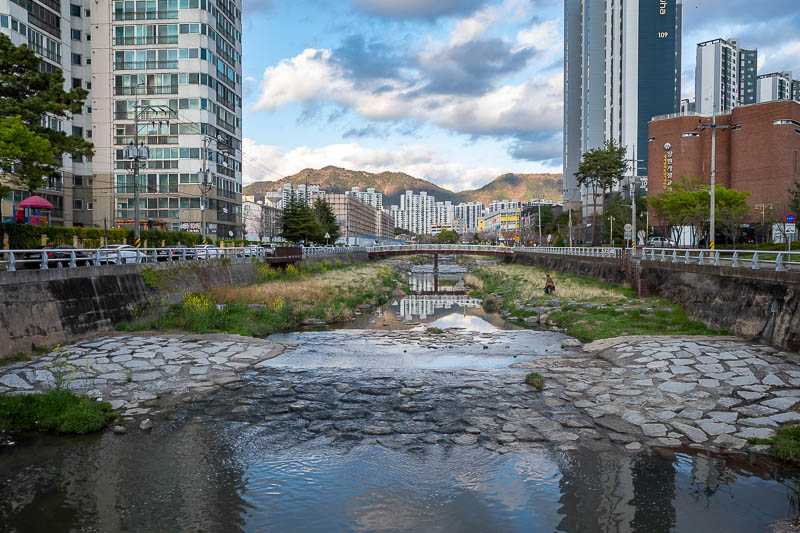 Korea-Changwon-Sangnam-Tofu - I found the drain! I found the drain!