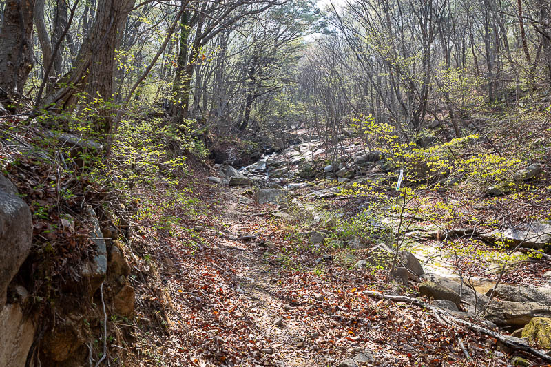 Korea-Changwon-Hiking-Bulmosan - A nice trail with the early morning light. I was thrilled to actually be on a trail after earlier being lost in the scrub.