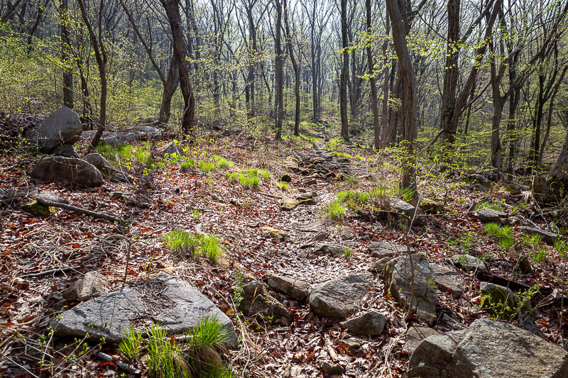 Korea-Changwon-Hiking-Bulmosan - Greener and less dead than the recent hikes in the north of the country.