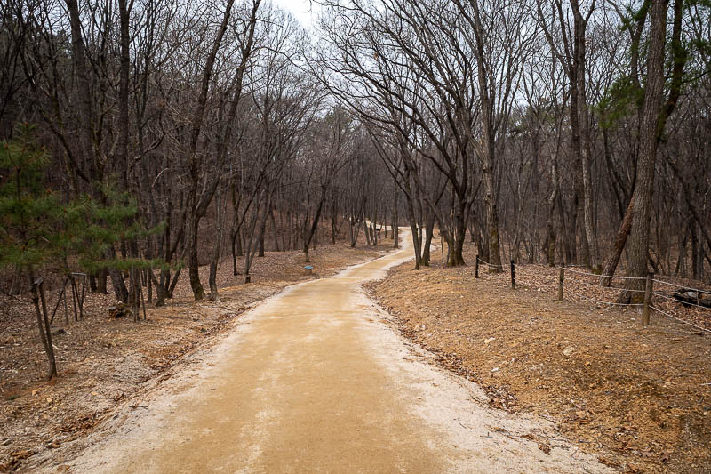 Korea-Seoul-Tomb-Mall - This is part of the hiking trail, it is more of a road, but parts really are quite steep.