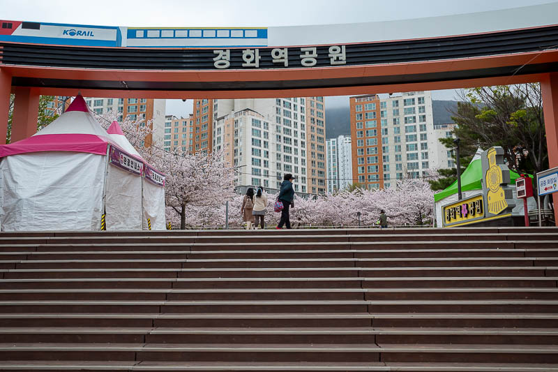 Korea yet again for the 7th time - March and April 2026 - Brace for blossoms. There are hundreds of street food and trinket stalls nearby, all closed.