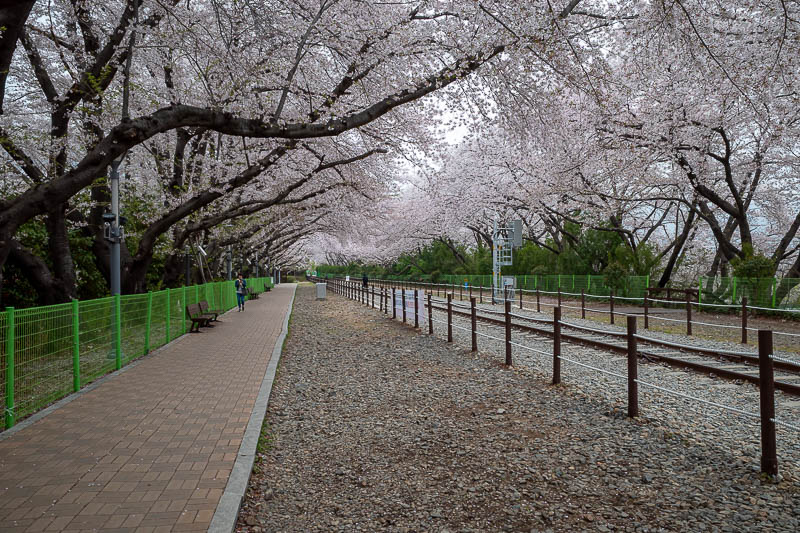 Korea yet again for the 7th time - March and April 2026 - Almost no one around.