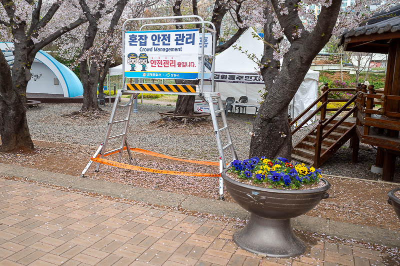 Korea yet again for the 7th time - March and April 2026 - I was not joking about crowd control.