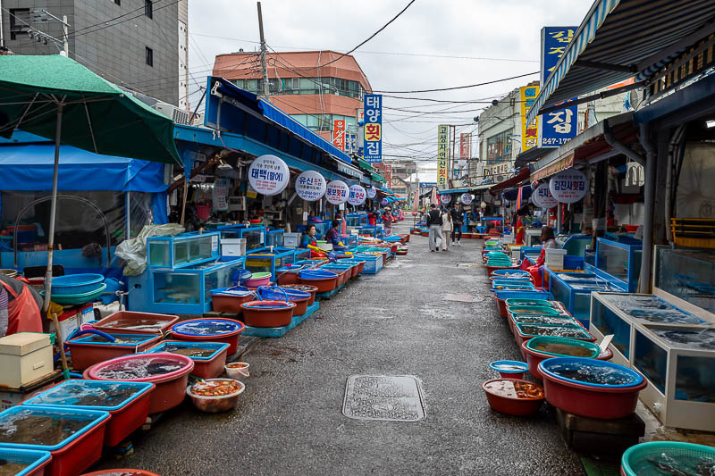 Korea yet again for the 7th time - March and April 2026 - Some areas are wetter than others.